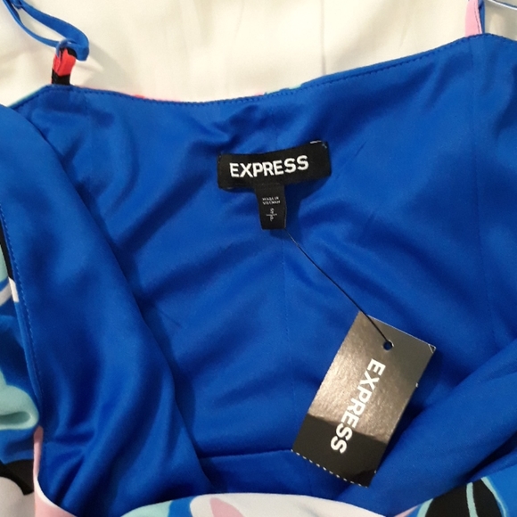 Express Dress - Picture 3 of 4